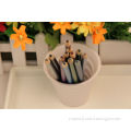 metallic round color pencil /metal paint coloring pencils/wood pencil/metal tin pencil box / colored pencil